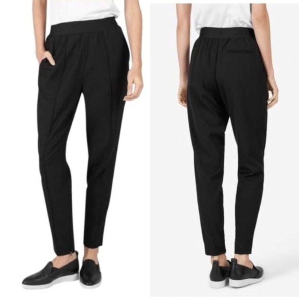 Everlane Black Italian Goweave Wool Easy Pant 2